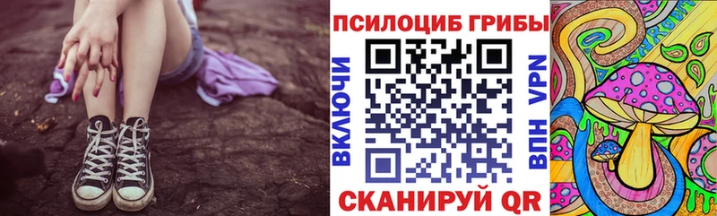 Купить  Орлов  Псилоцибиновые грибы MAGIC MUSHROOMS 